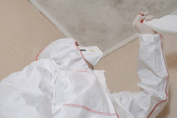 Best Mold Removal Specialists  in North Alamo, TX